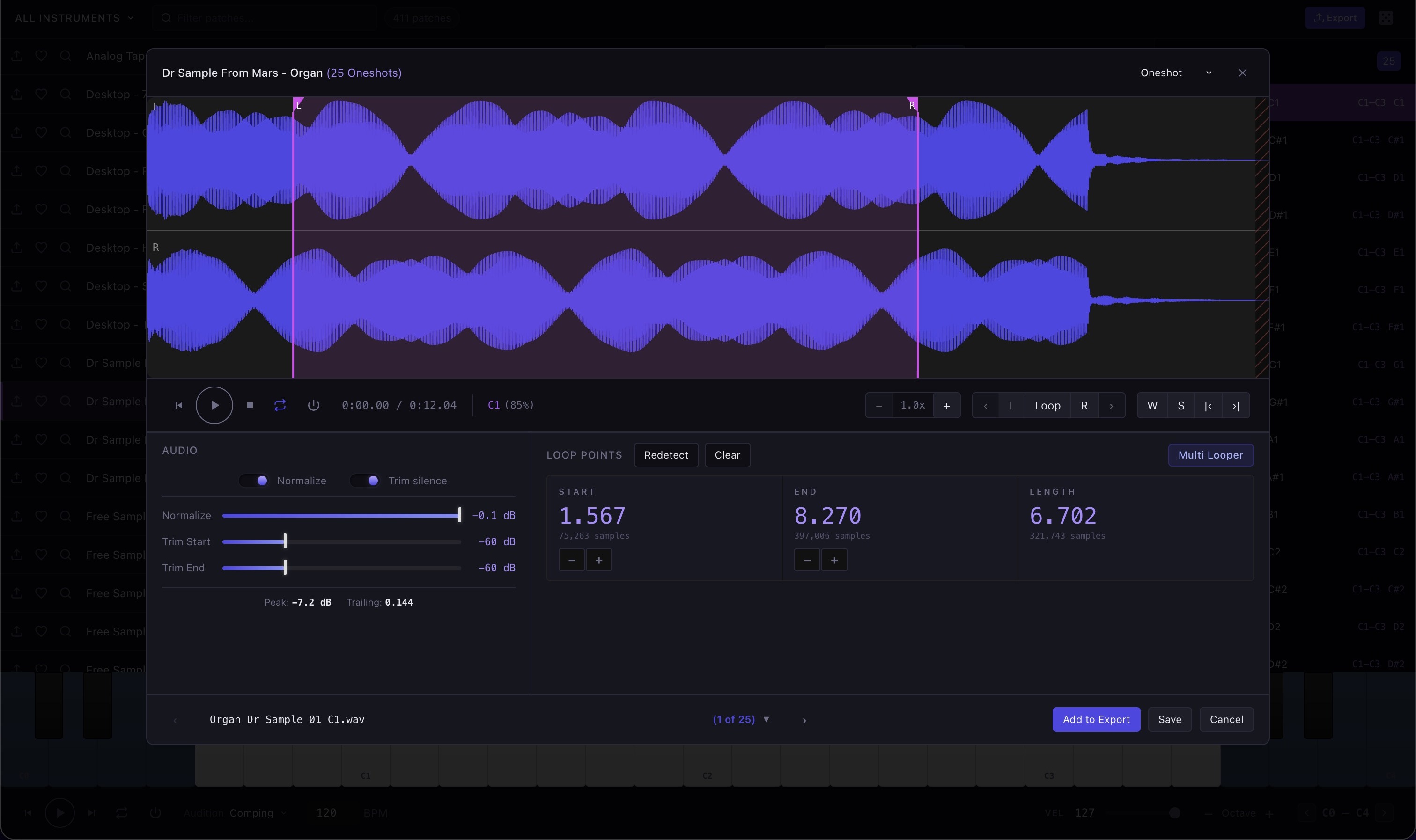 Sample Editor — Loop points and processing